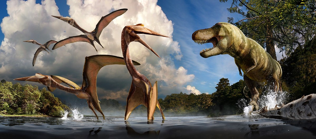 Texas Pterosaur Flies Into Spotlight This National Fossil Day