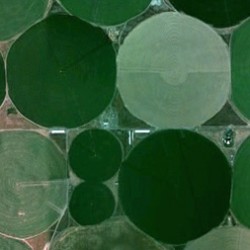 Groundwater Depletion in Semiarid Regions of Texas and California Threatens U.S. Food Security