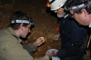 Phillips Cave Fossil Dig