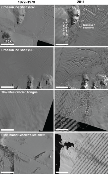 West Antarctic Ice Shelves Then and Now