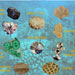 Non-vertebrate Paleontology Lab