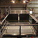 UT Sediment Transport and Earth-surface Processes (STEP) Basin