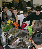 Hydrogeology Experiment