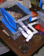 Soil Experiment