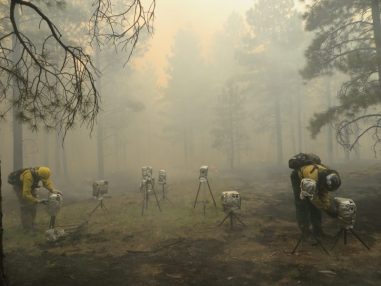 Usgs Wildfire Loehman Img 1641 800x600