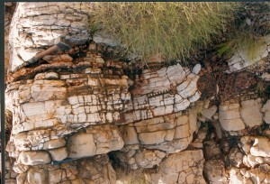 Ancient Ocean Chemistry