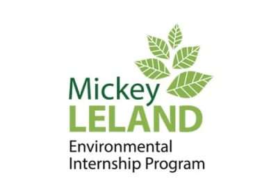 Mleip Logo2