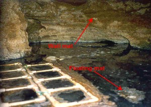 Airbell in Movile Cave, Romania, with floating mats and wall mats. The PVC pipes are 10 cm on a side. (1998 photo)