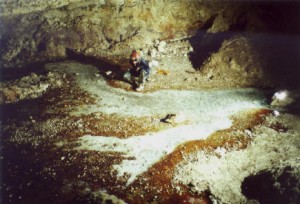Sampling water in Lower Kane Cave, Wyoming. White area in front of Megan Porteris thick filamentous white microbial mats. (photo by Annette Summers Engel, 2000)