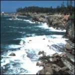 Coastal Zone