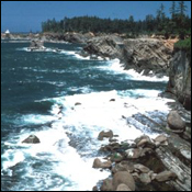 Coastal Zone