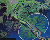 Is it Feasible to Build New Land in the Mississippi River Delta?