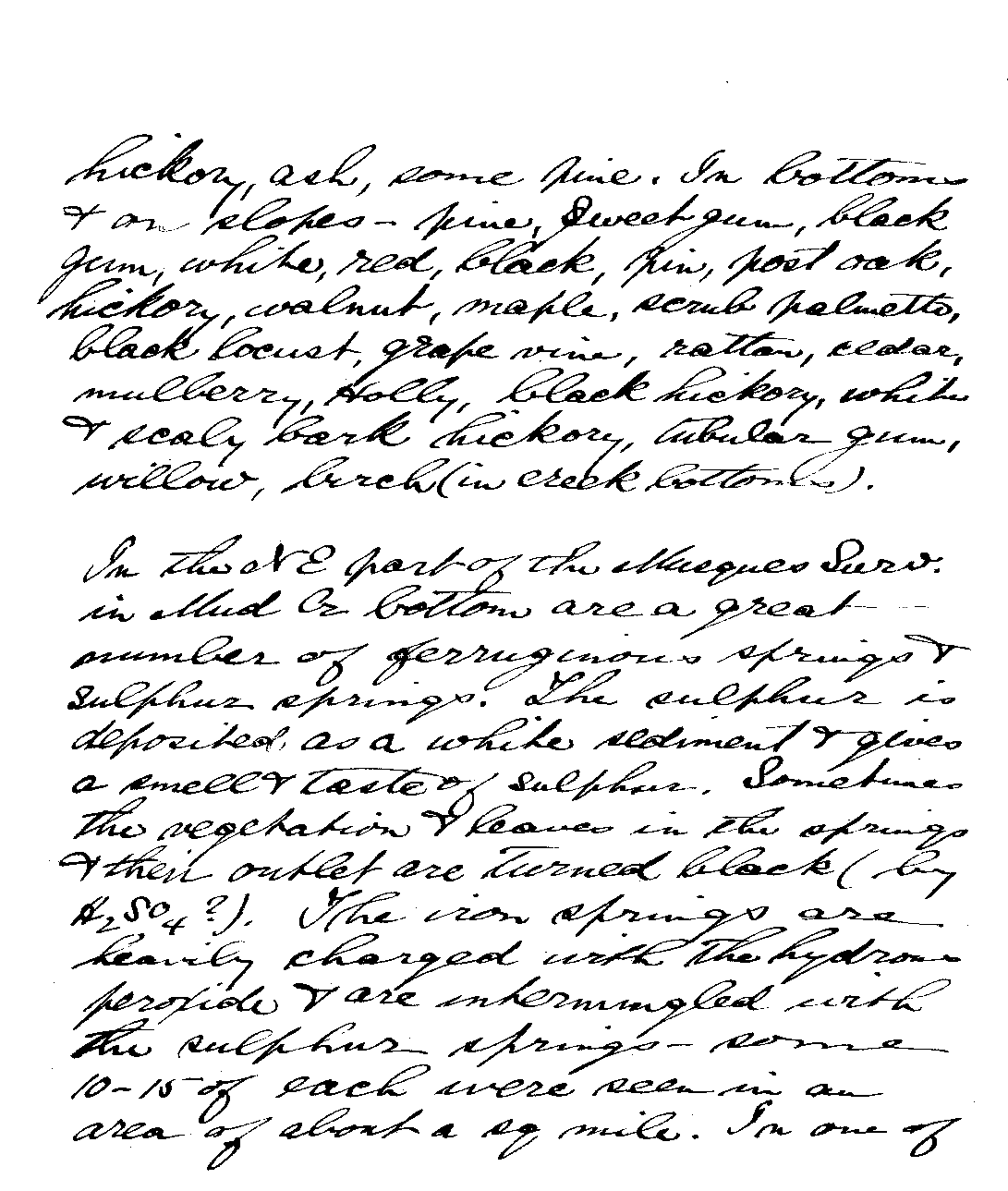Penrose Journal Page 25