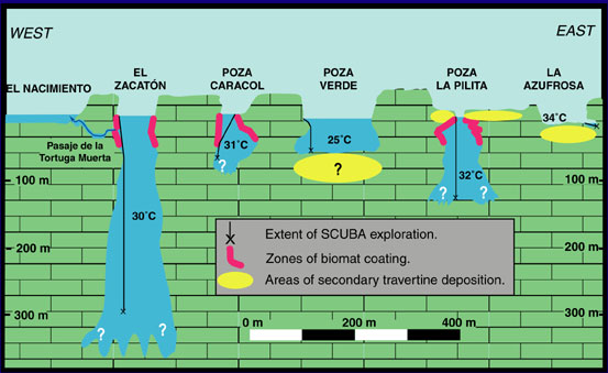 cross section