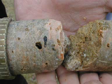 Travertine core fresh from the drill bit. This core was recovered from 1 meter of depth in La Pilita. Travertine core fresh from the drill bit. This core was recovered from 1 meter of depth in La Pilita.