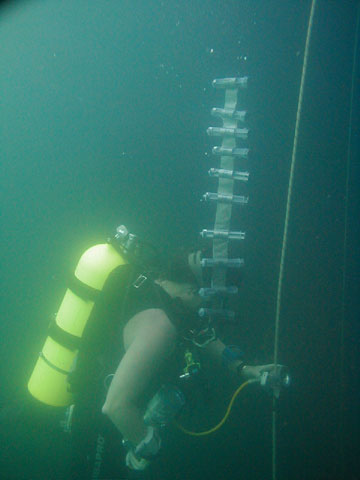 Sulfide Sampling at La Pilita Sulfide Sampling at La Pilita