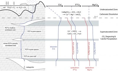 Pcp Image, Owen Et Al 2016