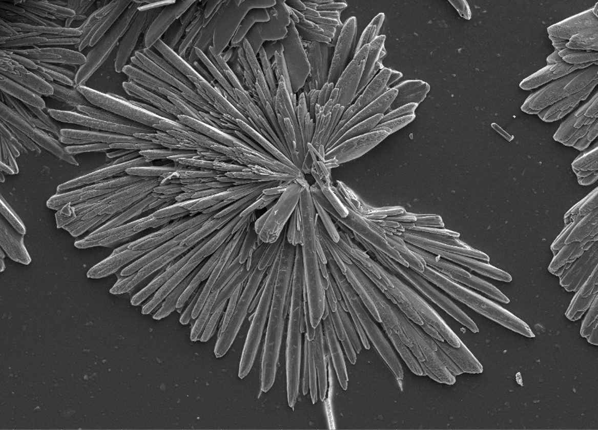 Smushed Gypsum 2