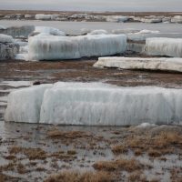 Arctic permafrost