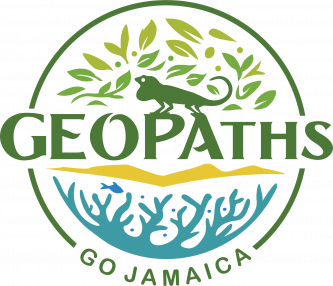 Geopaths Logo Multicolored