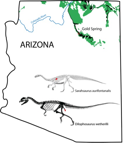 Identifying spatial heterogeneity in the elemental concentration of Early Jurassic dinosaur bones