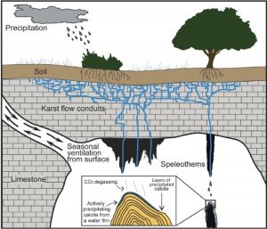 Stalagmite 2D chemical mapping of seasonal growth layers