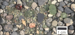 Grains of forsterite (green), of pyrope (red), and of a multitude of rock types. The mix of grains was scooped up from an anthill in northwestern New Mexico. Presumably the builders of the mound, harvester ants, were not sluggards, but promptly rebuilt as to be expected from a biblical proverb.