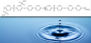 Sulfonated poly(arylene ether sulfone) - BPS