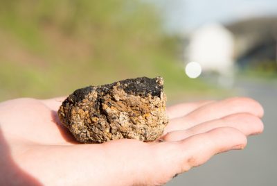 End-Triassic Extinction Horizon in the Newark Basin (Photo by V. McKenna)