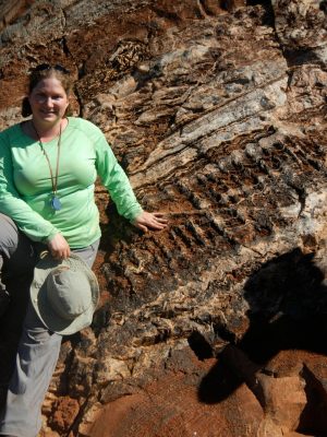 Crenulated Stromatolites