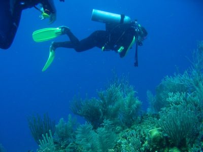 SCUBA (Belize)