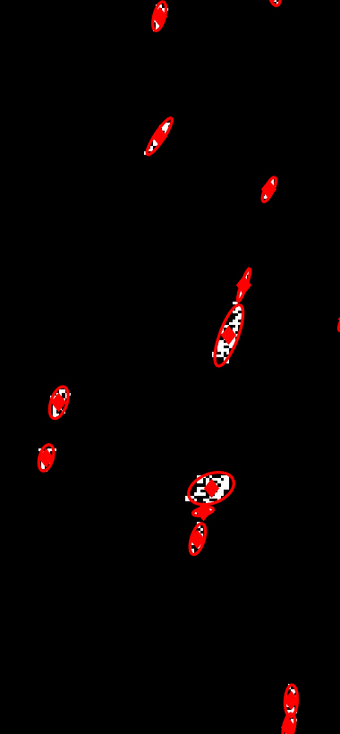 Example of best-fit ellipses and centroids over thresholded x-ray intensity map