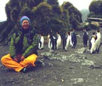 Sharon Mosher Penguins
