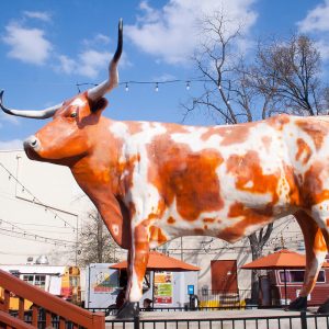 Local Experts Austin Places That Keep Austin Weird