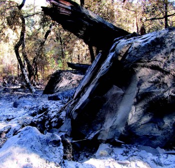 A rock Rempe documented to study the impact of wildfire on weathering. William E. Dietrich.