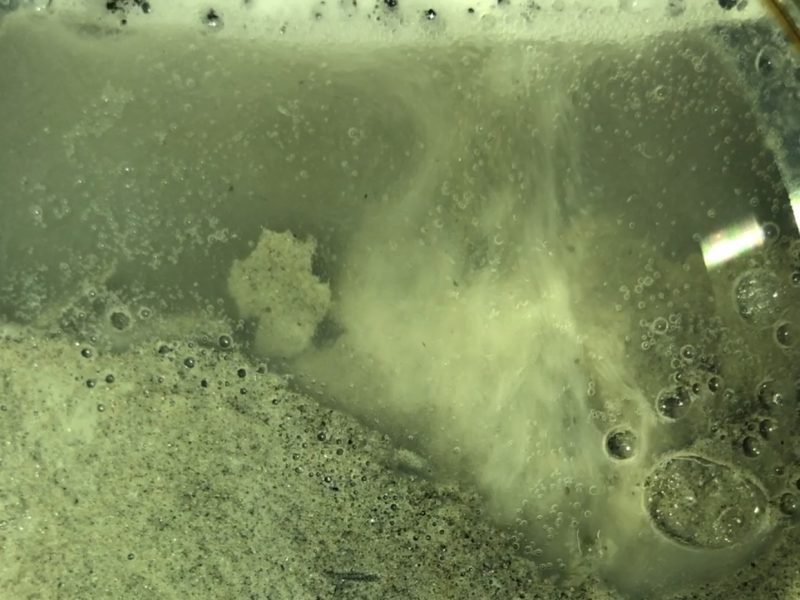 A photo of methane bubbles forming as a field sample of gas hydrate is allowed to depressurize