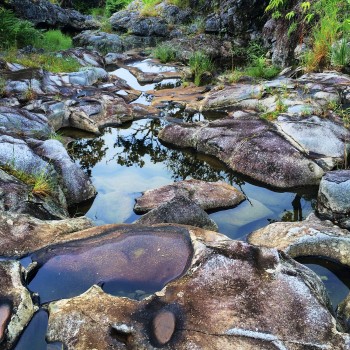 A bedrock-floored streambed after a recent flow event in Kohala Peninsula. Brendan Murphy.