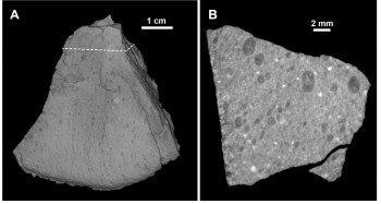 A 3-D rendering of the meteorite. Dark spots are chondrules. Bright spots are iron compounds.Romy Hanna. 