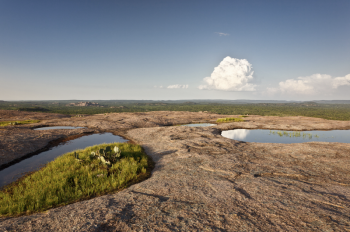 EXAMPLES OF SOLUTION PANS AT ENCHANTED ROCK STATE NATURAL AREA IN CENTRAL TEXAS.