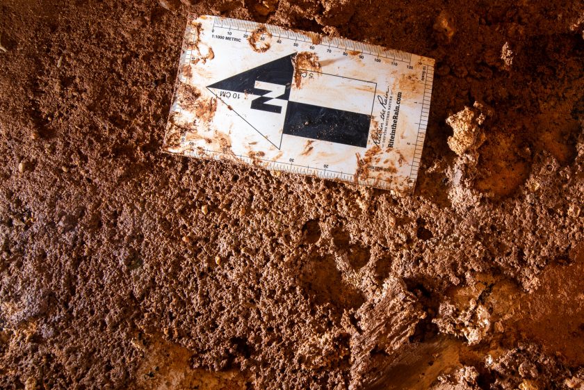 Cat Tracks In The Discovery Cavern Photo By Chris Higgins