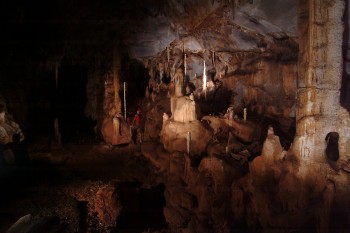 The cave room in Puerto Princesa Subterranean River National Park in Palawan, Philippines. A stalagmite collected from this location served as a record for ancient rainfall data. Photo by Raf Rios.