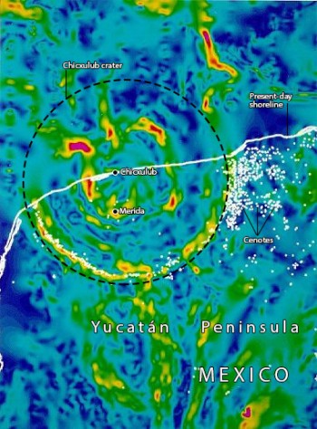 The Chicxulub crater has been filled in by sediments over the millions of years since impact. Using a gravity map, the crater’s topological features can be visualized. The red and yellow are gravity highs, and green and blue are gravity lows. The white dots indicate a network of sinkholes called “cenotes,”which were formed as a result of the impact. Image: NASA