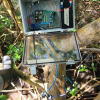The LEAF-logger, a prototype sensor for gauging the water content of trees at different depths.