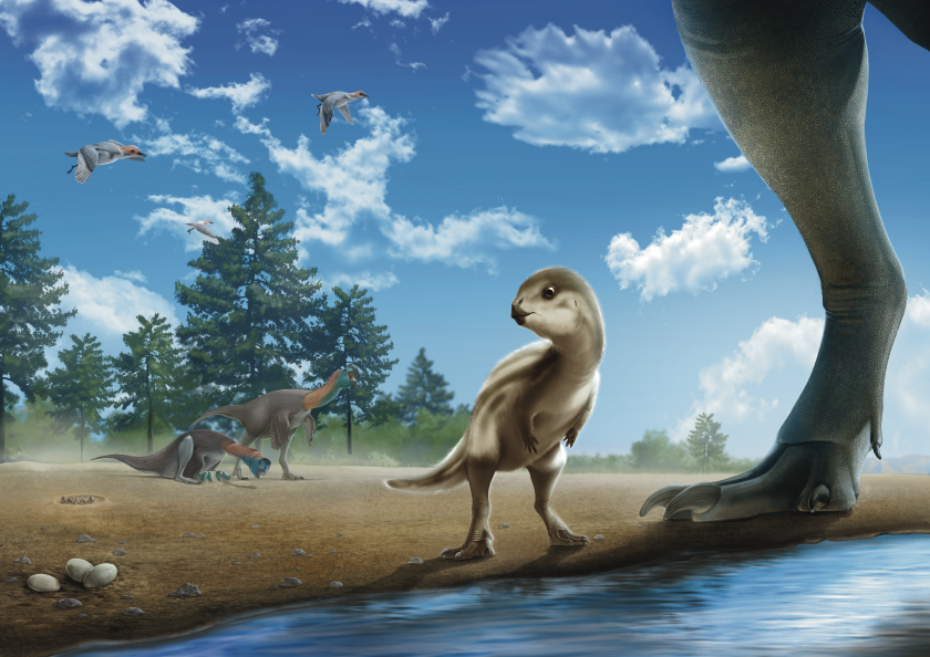 An artist’s interpretation of a juvenile Doolysaurus huhmini. It is depicted alongside birds and other dinosaurs that lived during the Cretaceous in what is now South Korea.