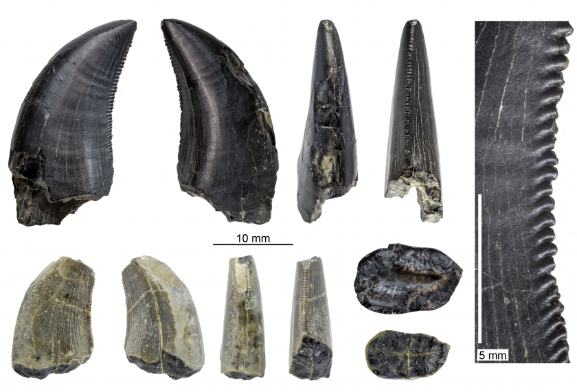 Figure1 Nolabels