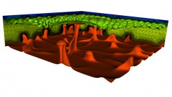 In addition to ice sheet dynamics, ocean circulation and seismic wave propagation, Ghattas is using uncertainty quantification to improve modeling of convection in Earth’s mantle.