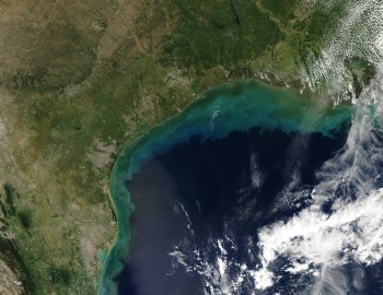 Gulf of Mexico