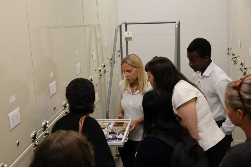 Paleontologist Lisa Boucher pulls open a drawer from a row of collections cabinets while a group of curious onlookers watch.