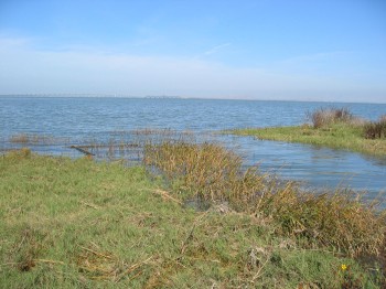 Palo Alto Baylands Salt Marshes Palo Alto Baylands salt marshes