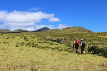 Lead author Brendan Murphy (left) and his Ph.D. adviser Joel Johnson (right) hiking to river sources on the dry-side of Kohala Peninsula. Kory Kirchner.